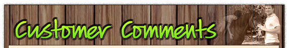 Horse Riding For Beginners